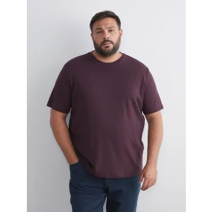 SOUTHBLUE Mürdüm Bisiklet Yaka Baskılı Penye Erkek Tişört