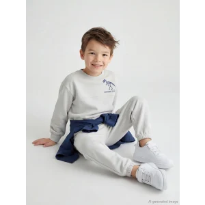 LCW Kids Gri Dinozor Baskılı Erkek Çocuk Sweatshirt ve Eşofman Altı