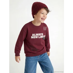 LCW Kids Bordo Bisiklet Yaka Baskılı Erkek Çocuk Kalın Sweatshirt