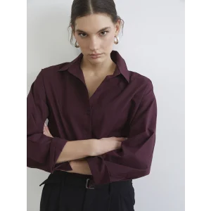 LCW Vision Mürdüm Poplin Kadın Gömlek