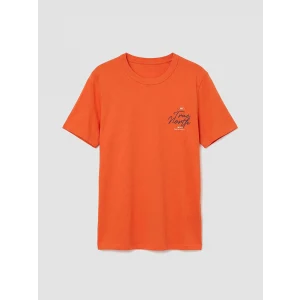 LCW Kids Turuncu Baskılı Erkek Çocuk Tişört