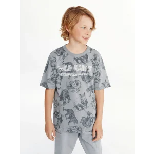 LCW Kids Gri Bisiklet Yaka Erkek Çocuk Tişört