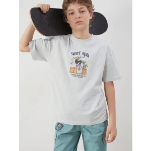 LCW Kids Gri Bisiklet Yaka Erkek Çocuk Tişört