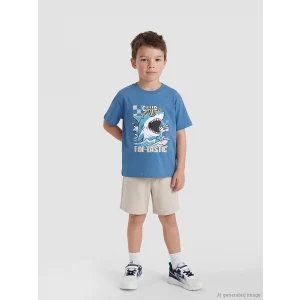 LCW Kids Mavi Baskılı Erkek Çocuk Tişört ve Şort