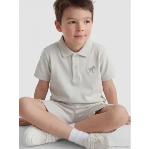 LCW Kids Gri Dinozor Baskılı Erkek Çocuk Tişört ve Şort