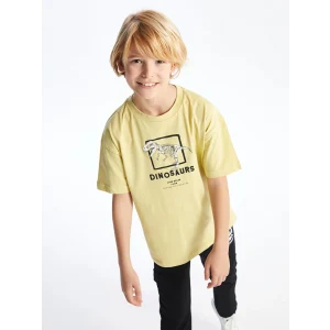 LCW Kids Yeşil Rahat Kalıp Bisiklet Yaka Erkek Çocuk Tişört