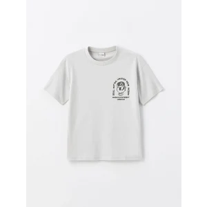 LCW Kids Gri Rahat Kalıp Bisiklet Yaka Erkek Çocuk Tişört