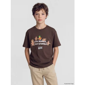 LCW Kids Kahverengi Bisiklet Yaka Stumble Guys Baskılı Erkek Çocuk Tişört