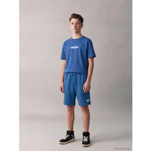LCW Kids Mavi Bisiklet Yaka Slogan Baskılı Erkek Çocuk Tişört