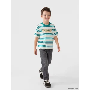 LCW Kids Yeşil Bisiklet Yaka Çizgili Erkek Çocuk Tişört