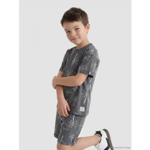 LCW Kids Gri Desenli Erkek Çocuk Tişört ve Şort