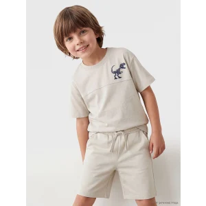 LCW Kids Gri Dinozor Baskılı Erkek Çocuk Tişört ve Şort Takım