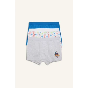 Defacto C2901A8BE43 Mavi Paw Patrol Lisanslı Desenli 3lü Mavi Boxer Erkek Çocuk