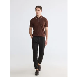 LCW Vision Kahverengi Regular Fit Erkek Pantolon