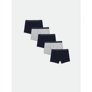 LC WAIKIKI Lacivert Standart Kalıp Pamuklu Esnek Erkek Boxer 5li