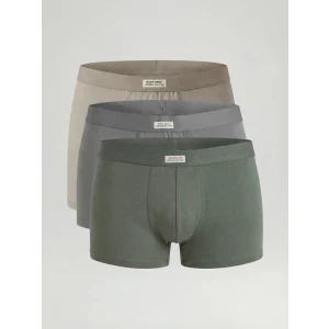 LC WAIKIKI Yeşil Standart Kalıp Pamuklu Esnek Erkek Boxer 3lü