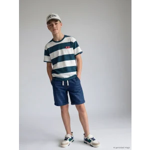 LCW Kids Petrol Bisiklet Yaka Çizgili Erkek Çocuk Tişört