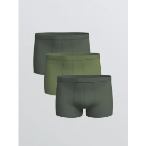 LC WAIKIKI Yeşil Standart Kalıp Pamuklu Esnek Erkek Boxer 3lü