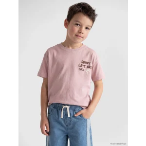 LCW Kids Pembe Bisiklet Yaka Baskılı Erkek Çocuk Tişört