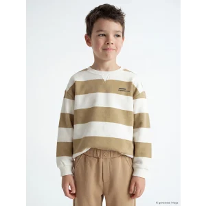 LCW baby Bej Bisiklet Yaka Çizgili Erkek Çocuk Sweatshirt