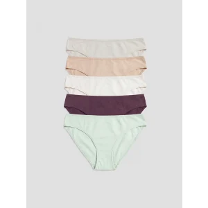 LCW DREAM Mürdüm Bikini Külot 5li