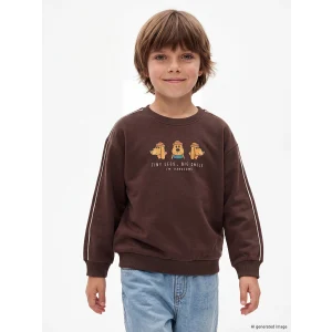 LCW baby Kahverengi Baskılı Erkek Çocuk Kalın Sweatshirt