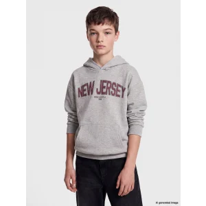 LCW Kids Gri New Jersey Baskılı Erkek Çocuk Sweatshirt