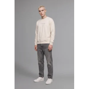 Defacto X8282AZBG672 Bej Boxy Fit Uzun Kollu Pamuklu Bisiklet Yaka İçi Yumuşak Tüylü Baskılı Sweatshirt