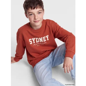 LCW Kids Kahverengi Bisiklet Yaka Sydney Baskılı Erkek Çocuk Sweatshirt