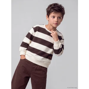 LCW Kids Bej Çizgili Erkek Çocuk Kalın Sweatshirt
