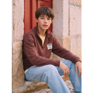 LCW Kids Kahverengi Dik Yaka Baskılı Erkek Çocuk Kalın Sweatshirt