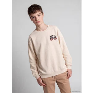 LCW Kids Bej Baskılı Erkek Çocuk Kalın Sweatshirt