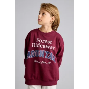 Defacto I3081A8BR115 Bordo Overshirt Fit Bisiklet Yaka Baskılı Sweatshirt Erkek Çocuk