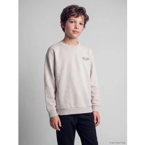 LCW Kids Gri Bisiklet Yaka Erkek Çocuk Kalın Sweatshirt