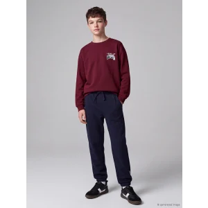 LCW Kids Lacivert Erkek Çocuk Kalın Jogger Eşofman Altı