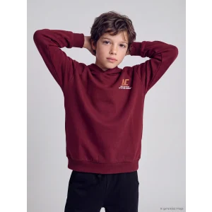 LCW Kids Bordo Baskılı Erkek Çocuk Takım