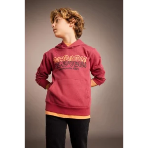 B6312 Baskılı Kapüşonlu Kalın Sweatshirt