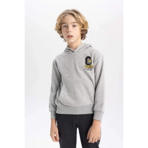B9012 Baskılı Kapüşonlu Kalın Sweatshirt