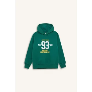 C9805 Regular Fit Kapüşonlu Baskılı Kalın Sweatshirt
