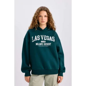 E3331 Regular Fit Bisiklet Yaka Baskılı Kalın Kumaş Sweatshirt