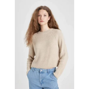 L2567 Coool Regular Fit Bisiklet Yaka Basic Düz Triko Kazak