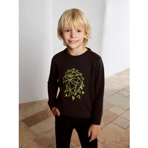 LCW Kids Antrasit Bisiklet Yaka Baskılı Uzun Kollu Erkek Çocuk Triko Kazak