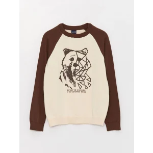 LCW Kids Ekru Bisiklet Yaka Desenli Uzun Kollu Erkek Çocuk Triko Kazak