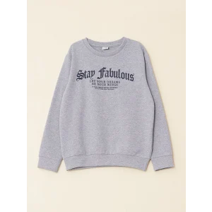 LCW Kids Gri Bisiklet Yaka Baskılı Uzun Kollu Erkek Çocuk Sweatshirt