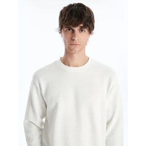 LCW Vision Ekru Bisiklet Yaka Uzun Kollu Erkek Dokulu Sweatshirt