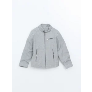 LCW Vision Gri Dik Yaka Erkek Çocuk Mont