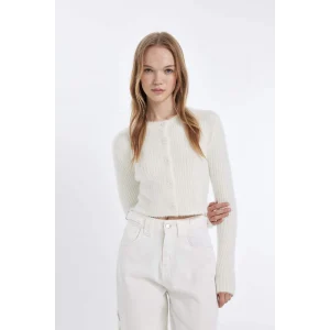 Z9318 Coool Slim Fit Dar Kesim Bisiklet Yaka Triko Hırka