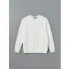LCWAIKIKI Classic EKRU Bisiklet Yaka Uzun Kollu Baskılı Erkek Sweatshirt