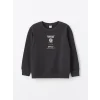 LCW Kids ANTRASİT Bisiklet Yaka Erkek Çocuk Kalın Sweatshirt