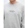 LCW Casual GRİ Bisiklet Yaka Uzun Kollu Baskılı Erkek Sweatshirt